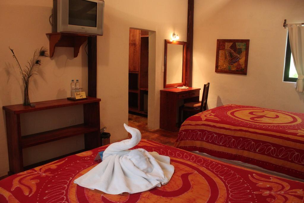 Fusion Beach Hotel Playa del Carmen Værelse billede