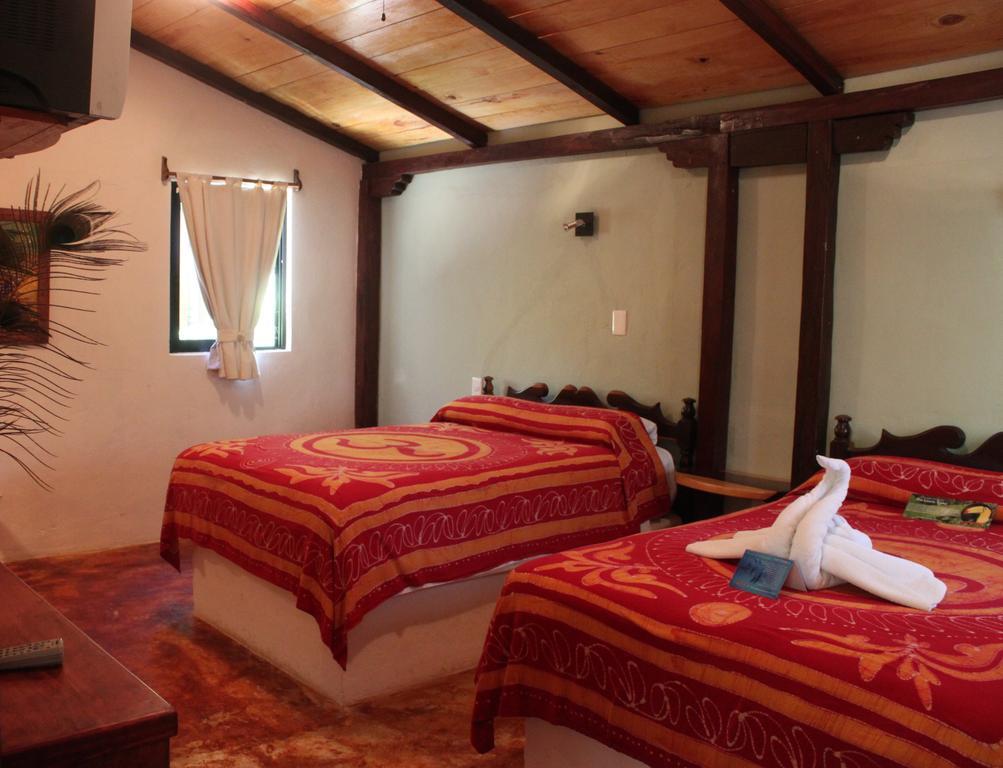 Fusion Beach Hotel Playa del Carmen Værelse billede